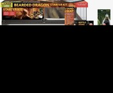 lizard tank