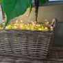 Washed rattan planter console or centrepiece with timer lights Image 10