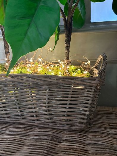 Washed rattan planter console or centrepiece with timer lights