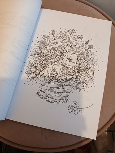 Adult calming art colouring book