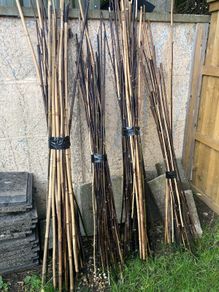 Bamboo canes