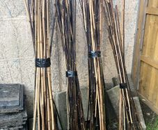 Bamboo canes
