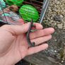 Hamsters cage Image 6