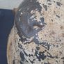 irish army vickers helmet Image 7