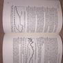 Garner's English books Image 2