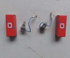 2. 24 Volt 100Watt H3 Bulbs.