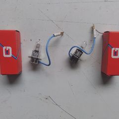2. 24 Volt 100Watt H3 Bulbs.