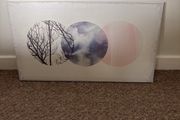 Canvas Picture