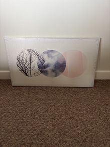 Canvas Picture