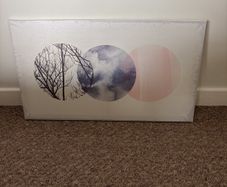 Canvas Picture