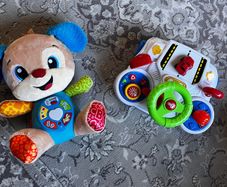 VTech Learning Puppy & FREE Driving Activity Toy