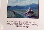 Photographic Slide. Lower Lake Muckross National Park
