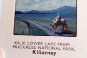 Photographic Slide. Lower Lake Muckross National Park