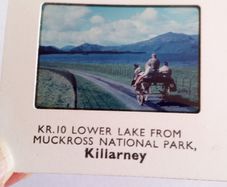 Photographic Slide. Lower Lake Muckross National Park