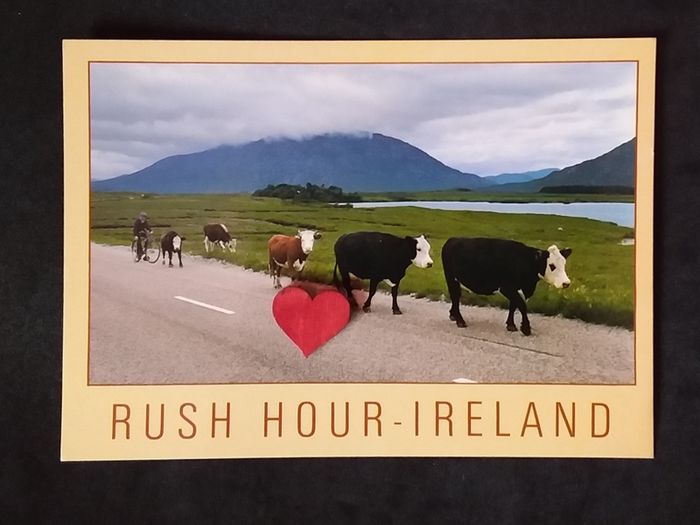Ireland Postcard : Rush Hour - Ireland , A John Hinde Humorist Postcard