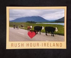 Ireland Postcard : Rush Hour - Ireland , A John Hinde Humorist Postcard