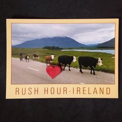 Ireland Postcard : Rush Hour - Ireland , A John Hinde Humorist Postcard