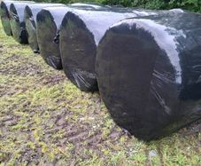 Bales silage