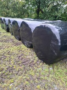 Bales silage