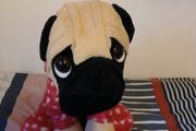 pug soft toy
