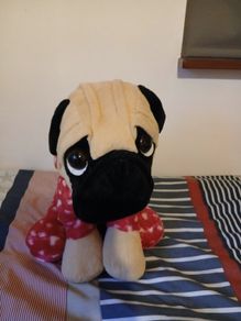 pug soft toy