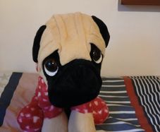 pug soft toy