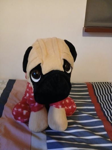 pug soft toy