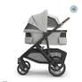 Buggy Image 10