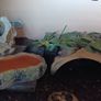 Reptile Vivarium Image 3