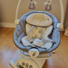 Joie Baby Swing and Rocker