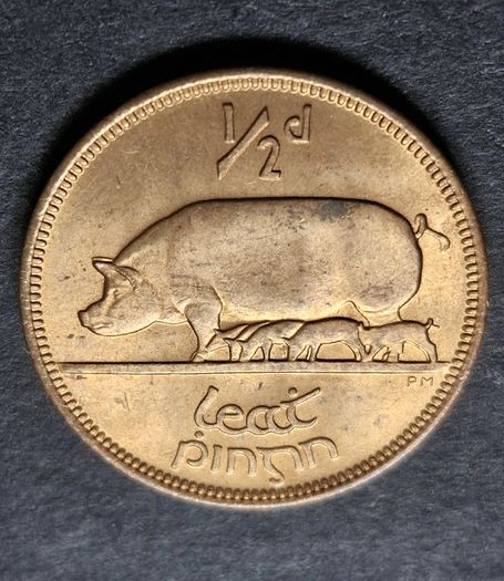 Ireland Excellent 1953 Half Penny Coin