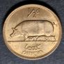 Ireland Excellent 1953 Half Penny Coin Image 3