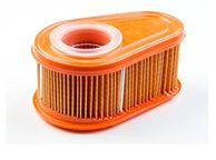 main image for ad Briggs Air Filter 792038