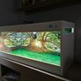 Vivarium/Terrarium Image 2