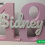 Personalized Age Number Sign with Name Birthday Decor Image 2