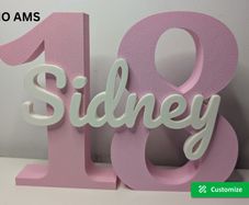 Personalized Age Number Sign with Name Birthday Decor
