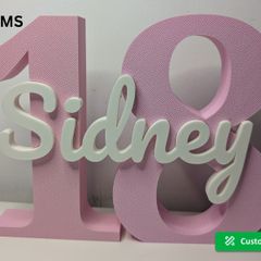 Personalized Age Number Sign with Name Birthday Decor