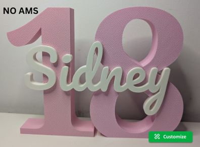 Personalized Age Number Sign with Name Birthday Decor