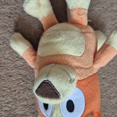 Bingo teddy