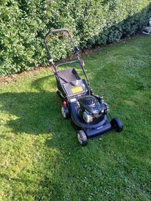 Prolawn Self Drive Lawnmower
