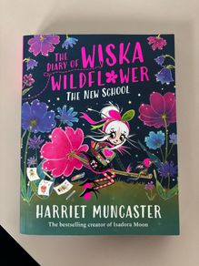 The Diary Of Wiska Wildflower: The New School