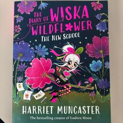 The Diary Of Wiska Wildflower: The New School