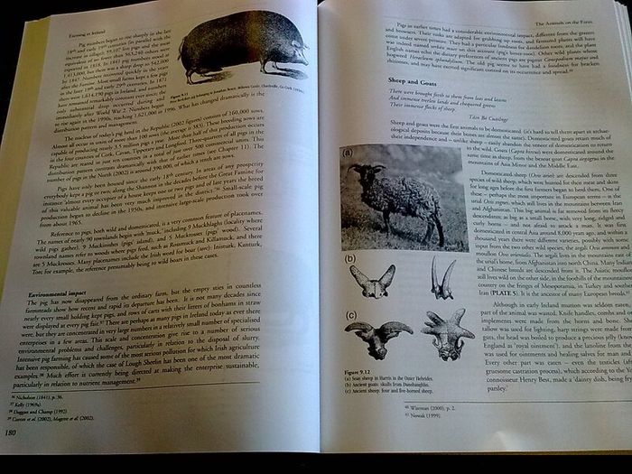 Farming in Ireland History Heritage and Environment by John Feehan Irish history
