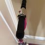Micro Scooter Image 3