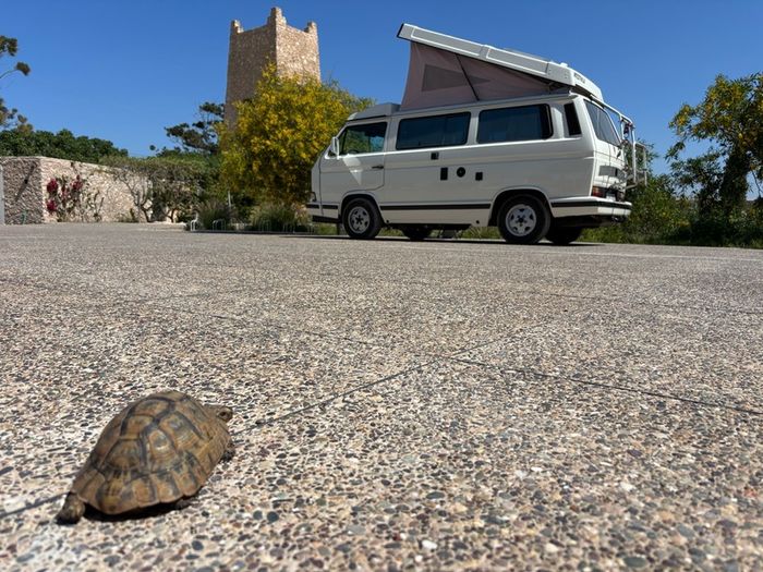 VW Camper