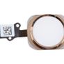 Home Button Assembly Flex Cable Replacement Part For iPhone 6S GOLD-#142020 Image 3