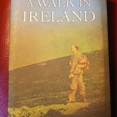 Michael Fewer/ A Walk in Ireland/ 2001/ 1st ed.