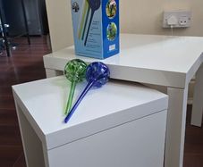Plant watering globes