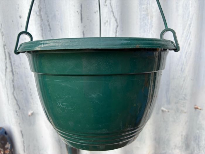 Single Hanging basket