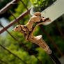 Unique Handmade Walking Stick, Spaniel Handle, Never Used Image 3